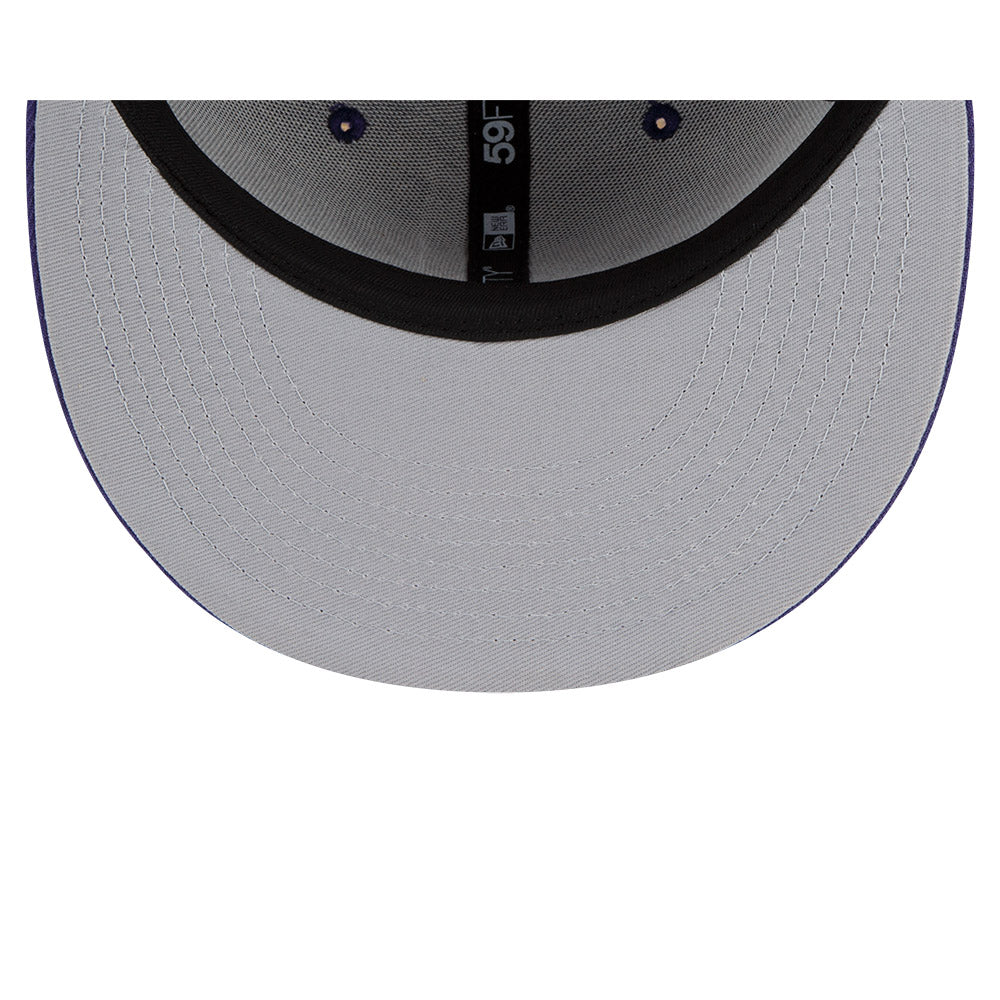 Charlotte Hornets Back Half 59FIFTY Fitted