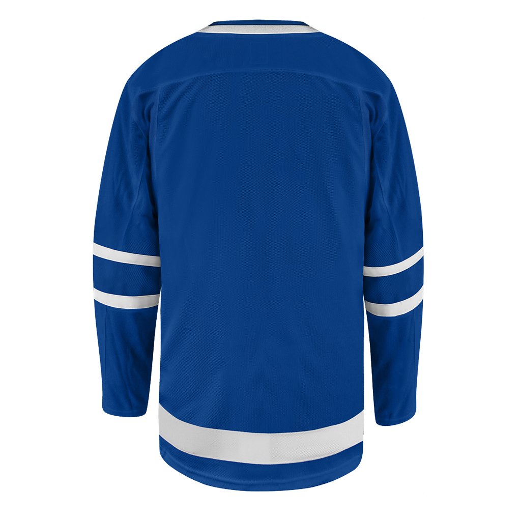 Men's Toronto Maple Leafs Blank Fantatics Blue Home Jersey